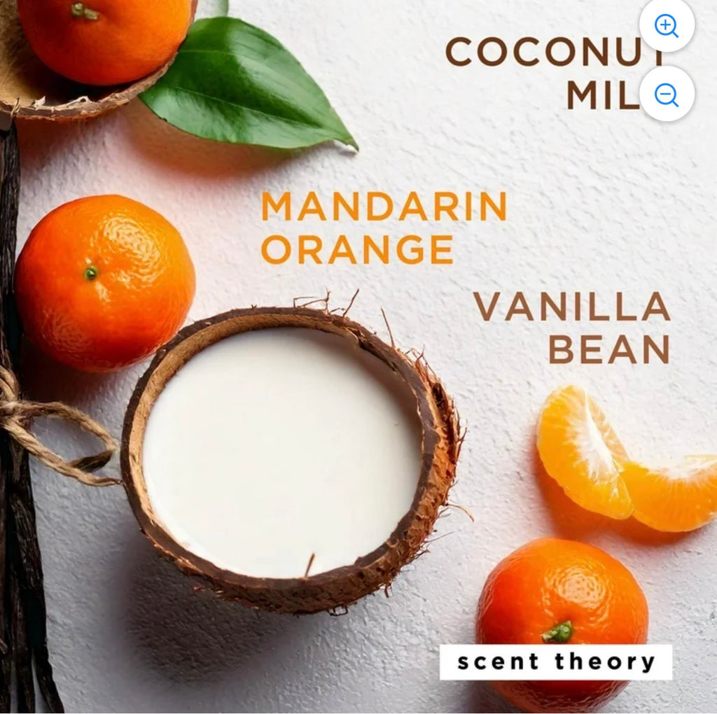 (2 pack) Scent Theory Foaming Hand Soap, Vanilla Coconut, 11 fl oz