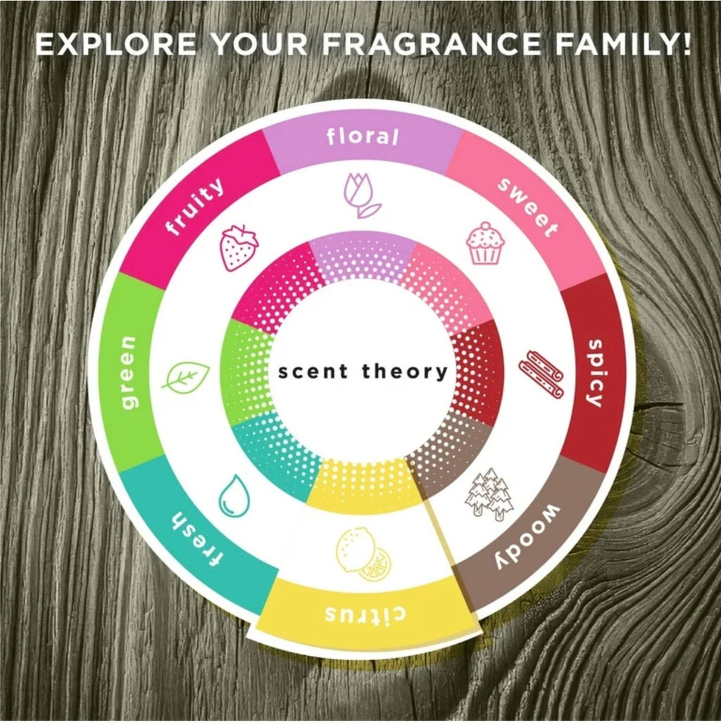 Scent Theory Foaming Hand Soap, Cedar and Black Citrus, 11 fl oz