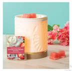 Summer Strawberry Mimosa Scented Wax Melts, Better Homes & Gardens, 2.5 oz (1-Pack)
